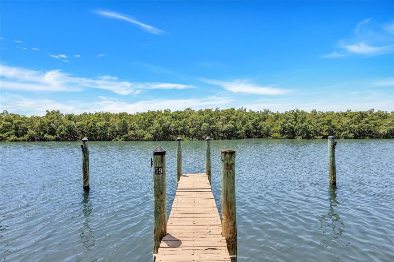 8817 Bay Pointe Drive, Unit 107, Tampa, FL 33615 Photo