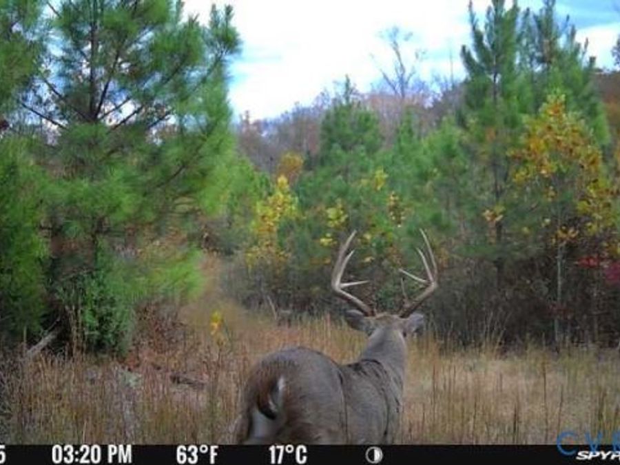 Property Image 31