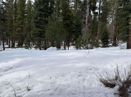 7464 Lily Avenue, Tahoe Vista, CA 96148 Photo
