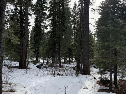 7464 Lily Avenue, Tahoe Vista, CA 96148 Photo