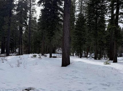 7464 Lily Avenue, Tahoe Vista, CA 96148 Photo
