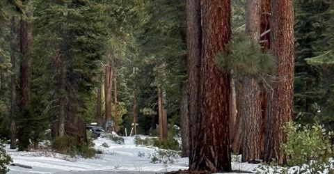 7464 Lily Avenue, Tahoe Vista, CA 96148 Photo