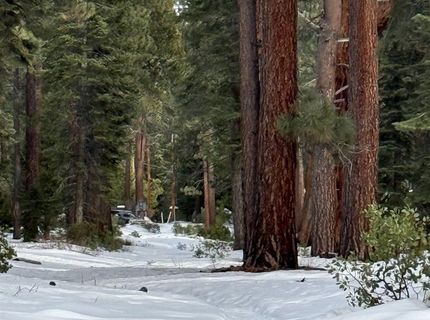 7464 Lily Avenue, Tahoe Vista, CA 96148 Photo