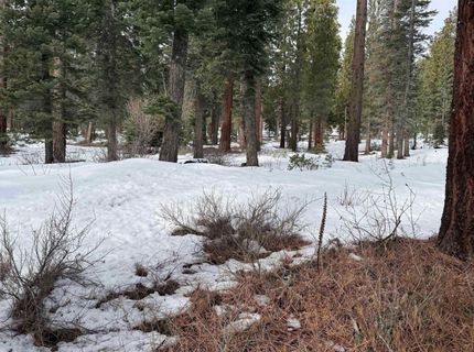7464 Lily Avenue, Tahoe Vista, CA 96148 Photo