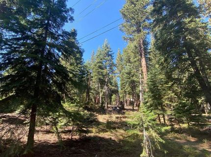 7464 Lily Avenue, Tahoe Vista, CA 96148 Photo