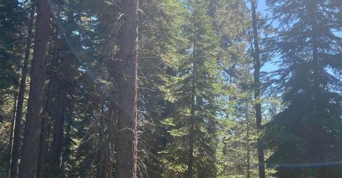 7464 Lily Avenue, Tahoe Vista, CA 96148 Photo