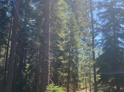 7464 Lily Avenue, Tahoe Vista, CA 96148 Photo