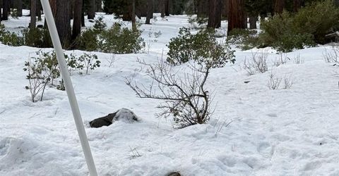 7464 Lily Avenue, Tahoe Vista, CA 96148 Photo