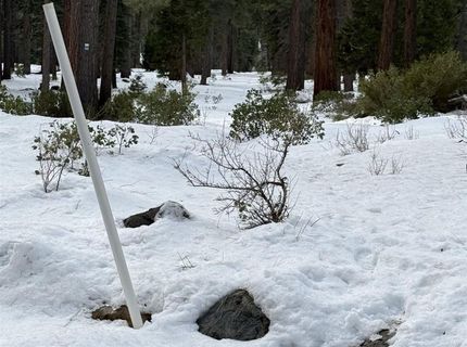 7464 Lily Avenue, Tahoe Vista, CA 96148 Photo