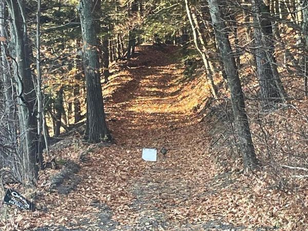 L26 & L27 Ecker Hollow Road, Cobleskill, NY 12043
