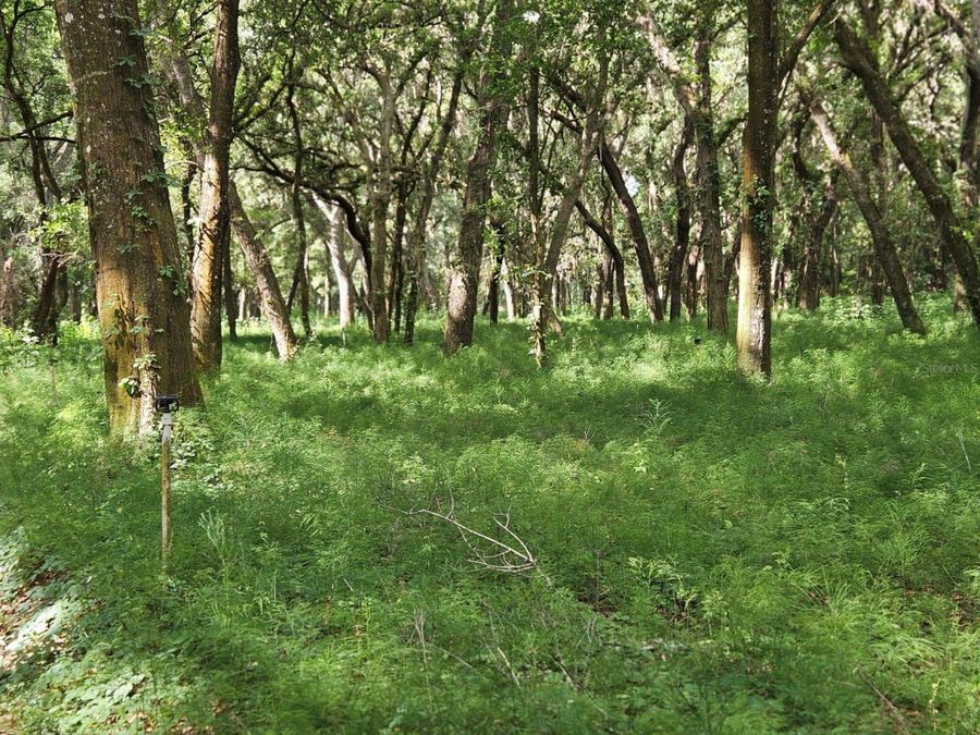 Property Image 8