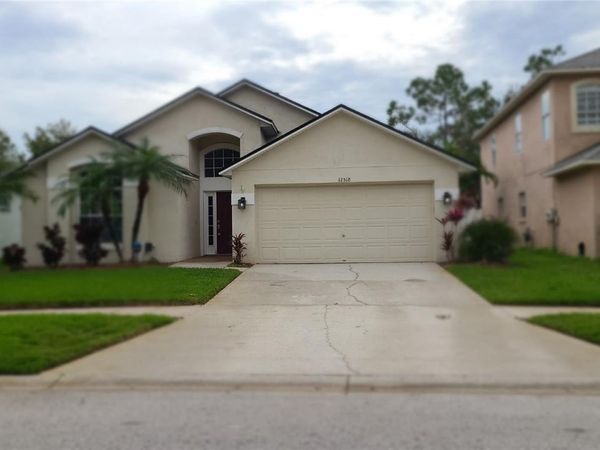 12518 SPARKLEBERRY ROAD , TAMPA, FL 33626