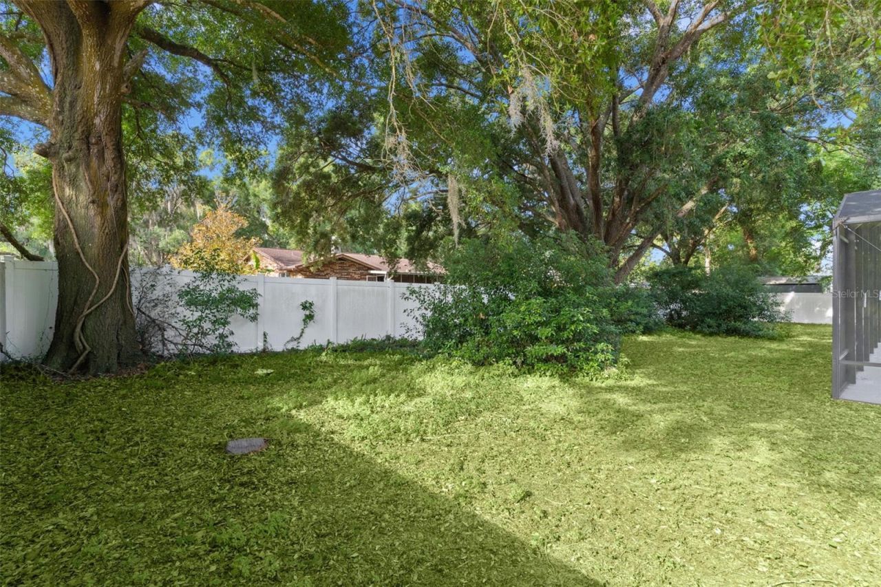 307 W Berckman Street, Fruitland Park, FL 34731 Photo