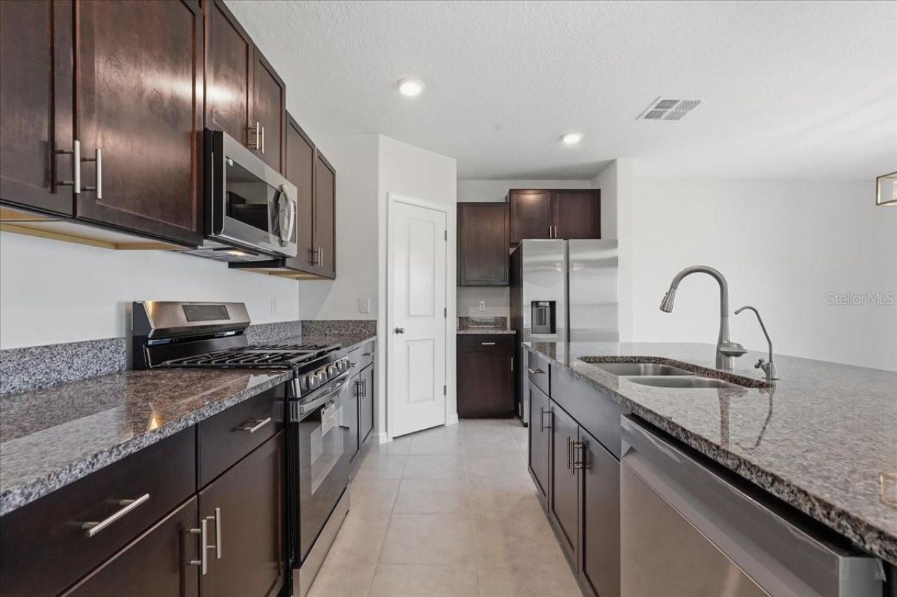 5224 White Chicory Drive, Apollo Beach, FL 33572 Photo