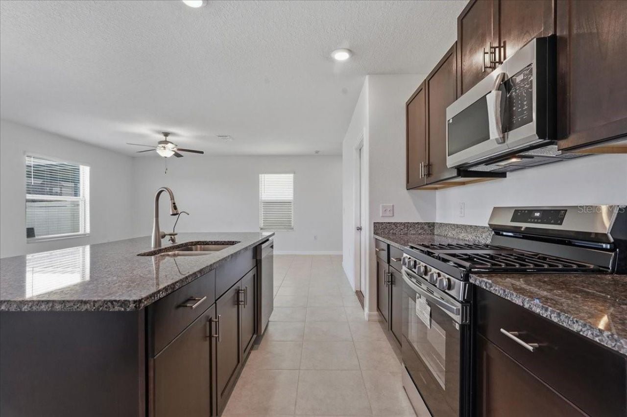 5224 White Chicory Drive, Apollo Beach, FL 33572 Photo