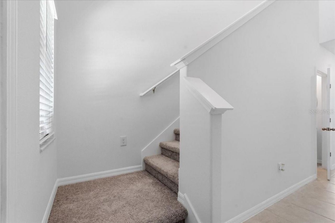 5224 White Chicory Drive, Apollo Beach, FL 33572 Photo