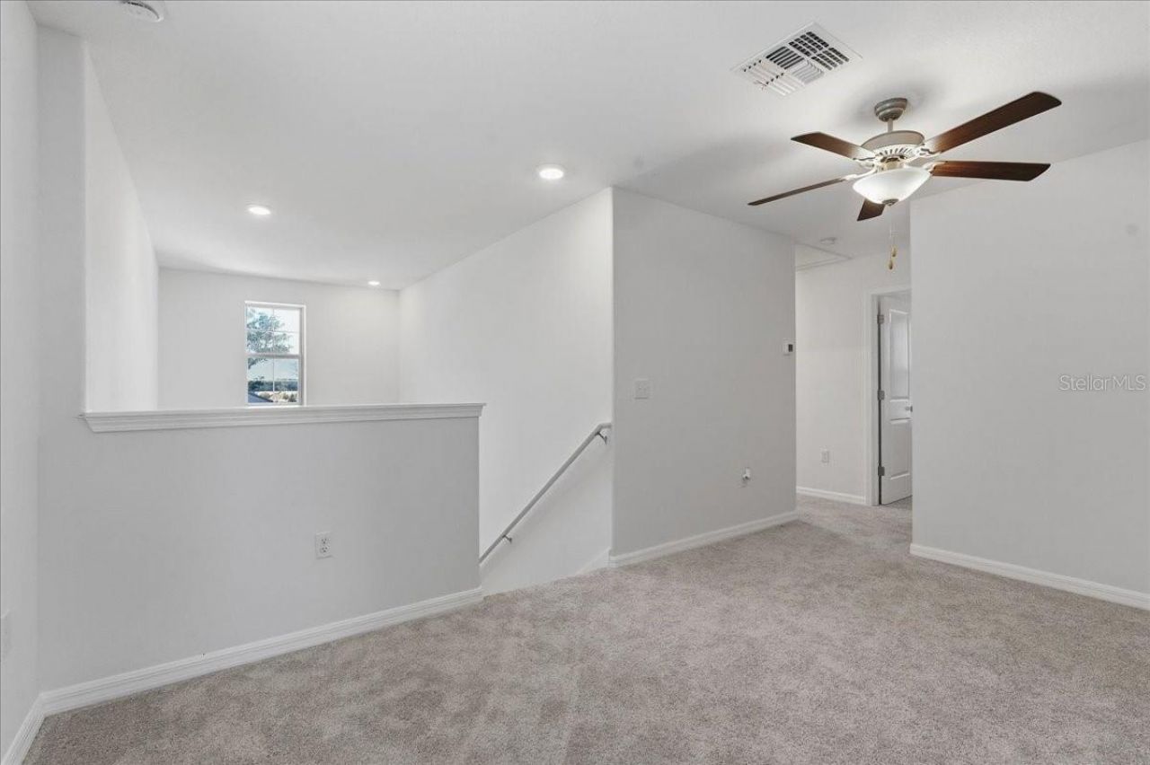 5224 White Chicory Drive, Apollo Beach, FL 33572 Photo