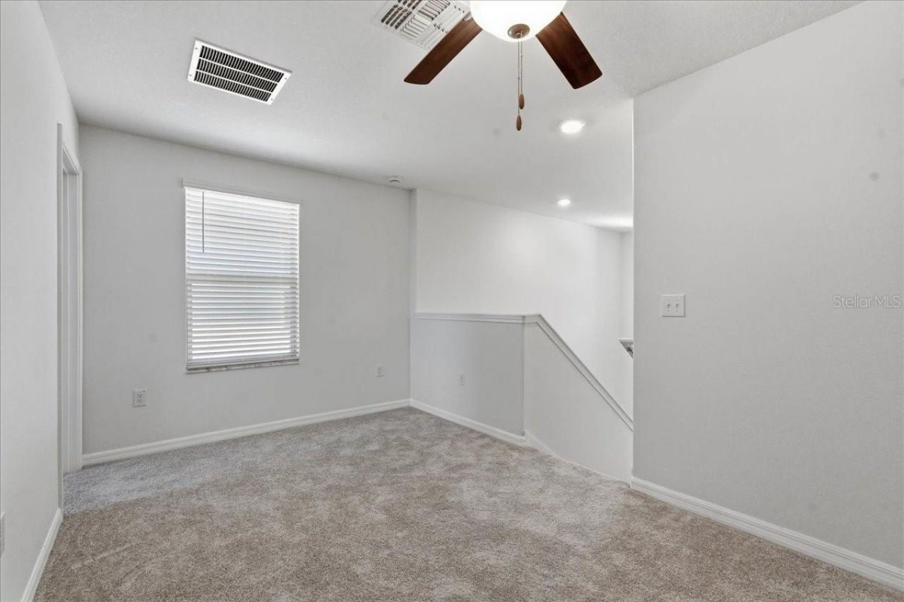 5224 White Chicory Drive, Apollo Beach, FL 33572 Photo