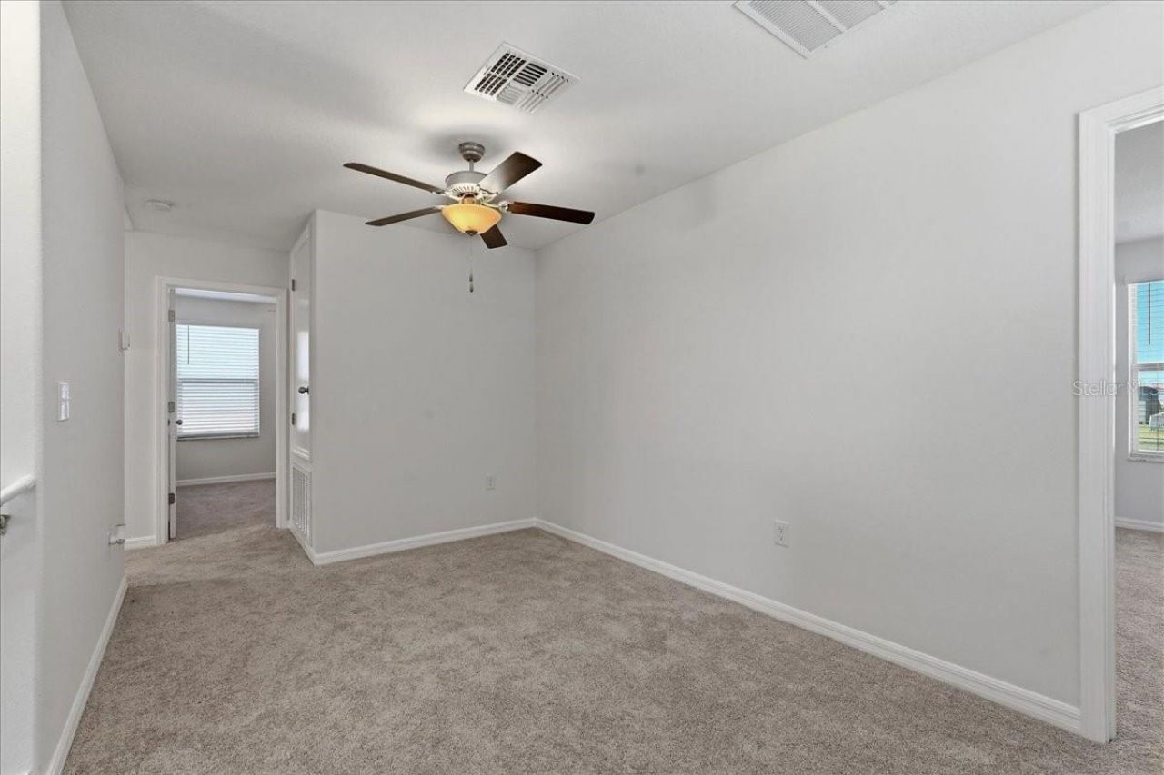 5224 White Chicory Drive, Apollo Beach, FL 33572 Photo