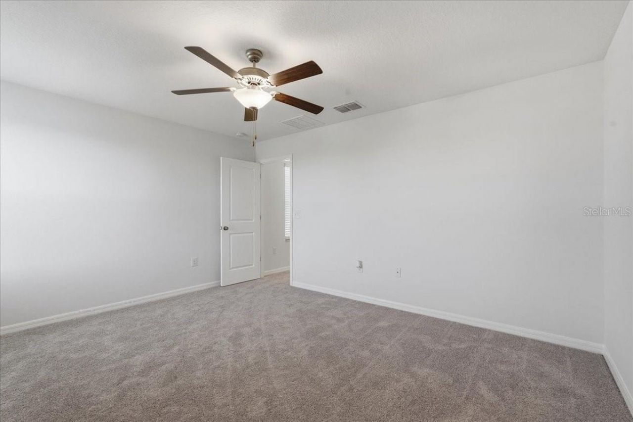 5224 White Chicory Drive, Apollo Beach, FL 33572 Photo