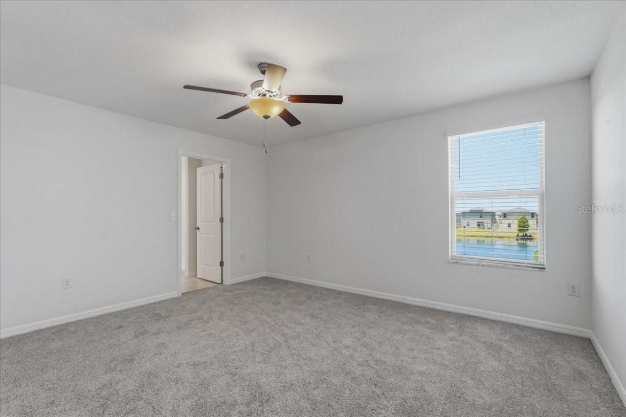 5224 White Chicory Drive, Apollo Beach, FL 33572 Photo