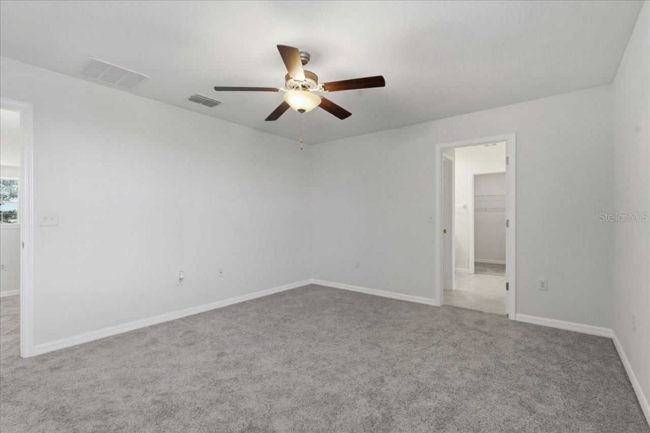 5224 White Chicory Drive, Apollo Beach, FL 33572 Photo