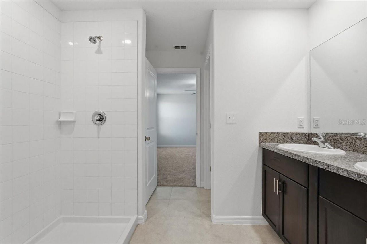 5224 White Chicory Drive, Apollo Beach, FL 33572 Photo