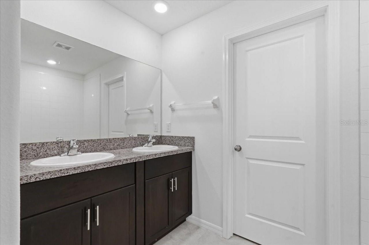 5224 White Chicory Drive, Apollo Beach, FL 33572 Photo