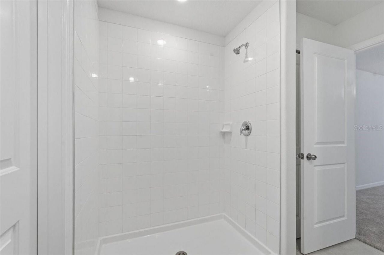 5224 White Chicory Drive, Apollo Beach, FL 33572 Photo