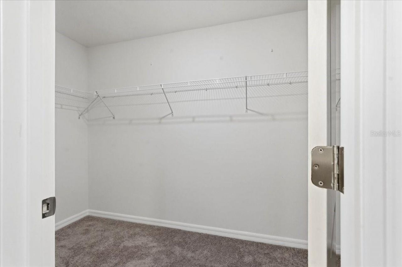 5224 White Chicory Drive, Apollo Beach, FL 33572 Photo