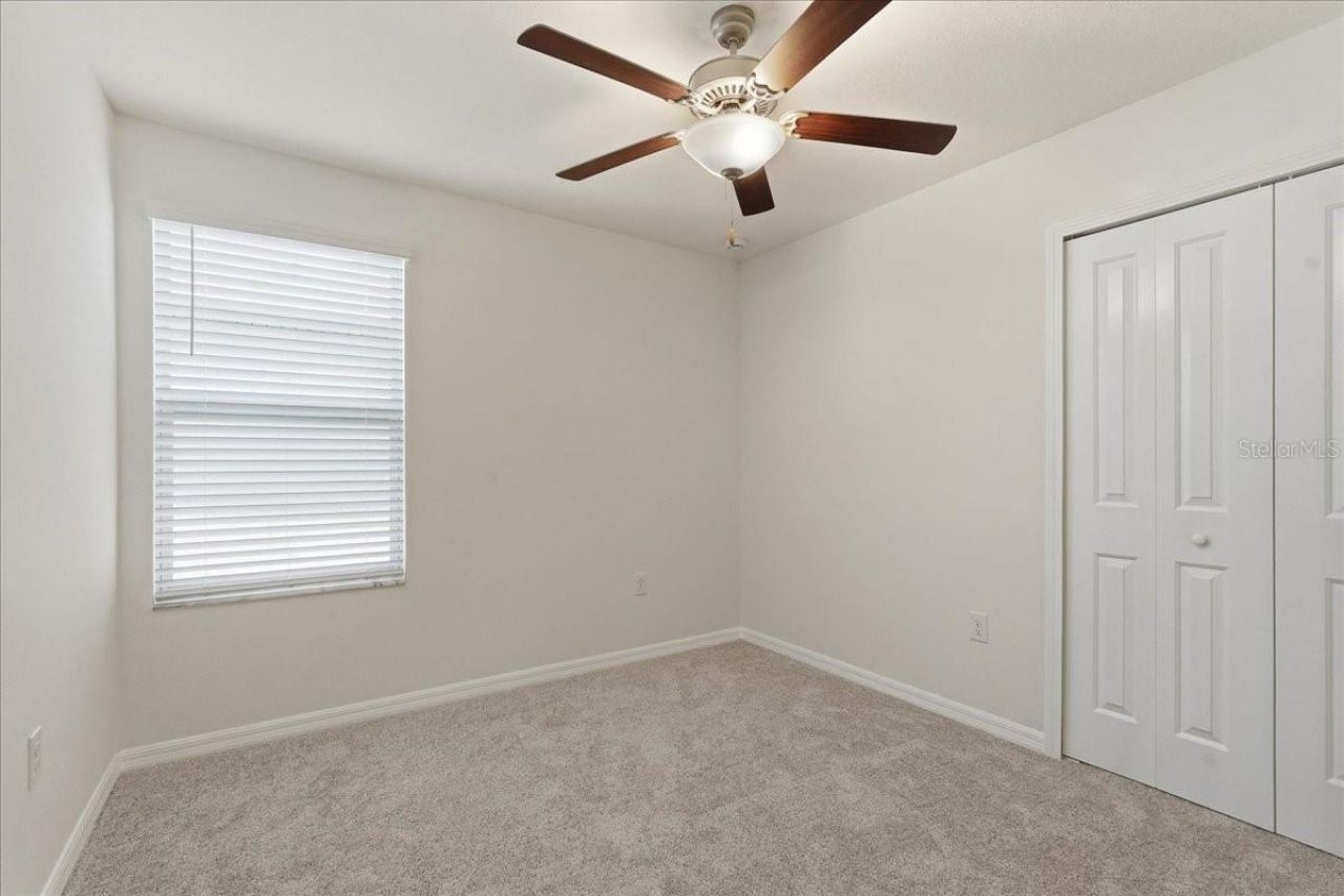 5224 White Chicory Drive, Apollo Beach, FL 33572 Photo