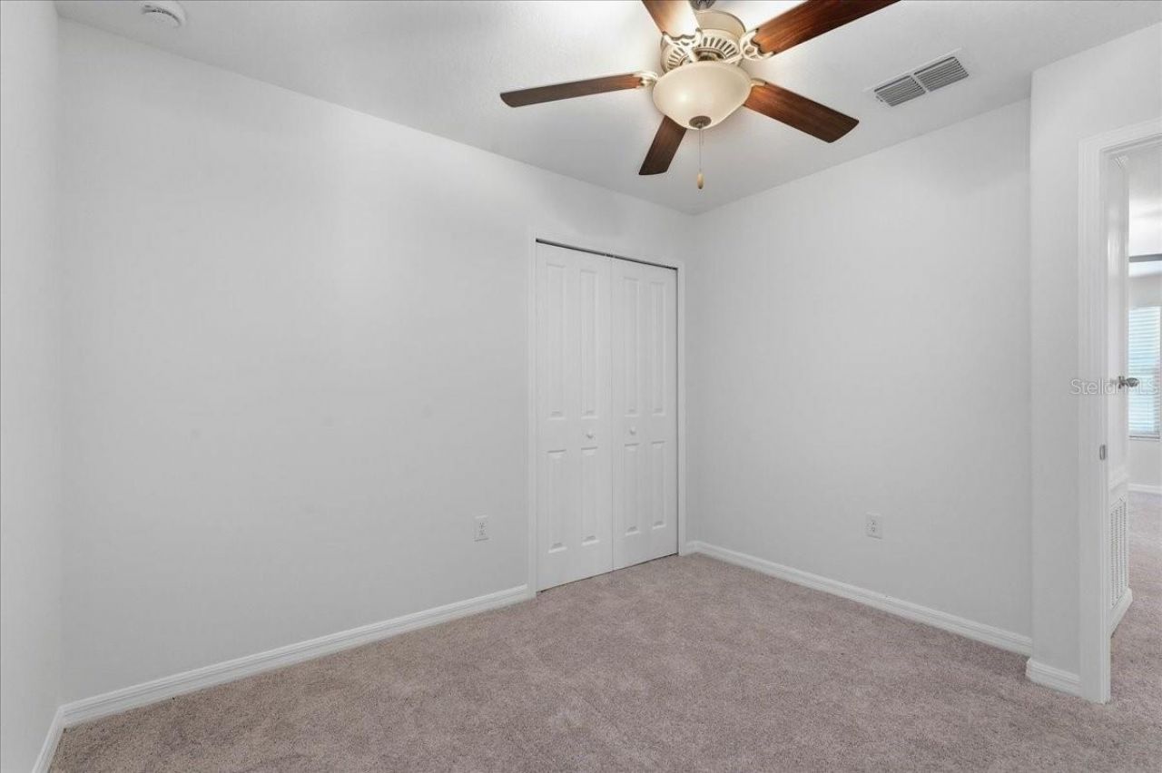 5224 White Chicory Drive, Apollo Beach, FL 33572 Photo