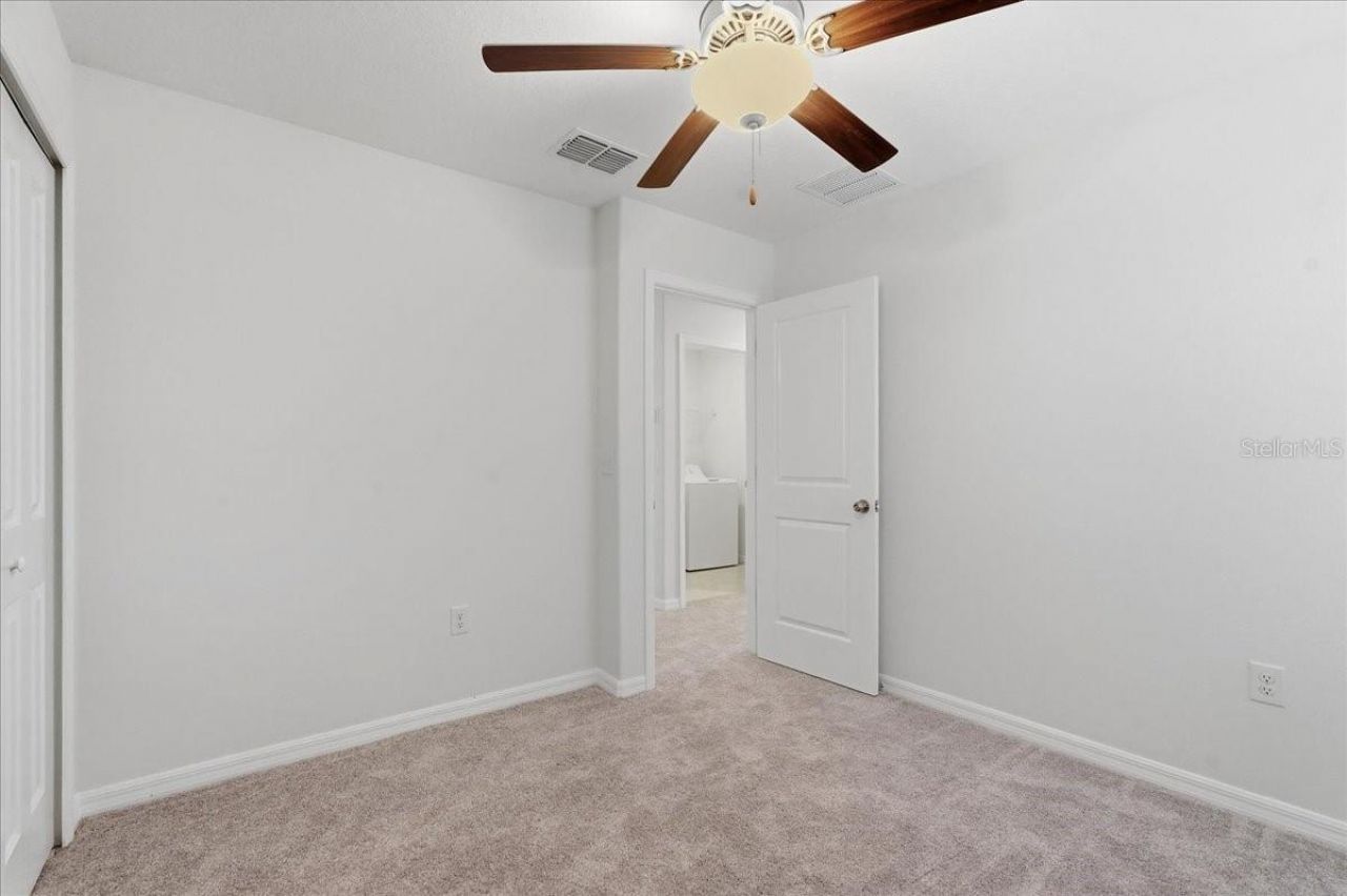 5224 White Chicory Drive, Apollo Beach, FL 33572 Photo