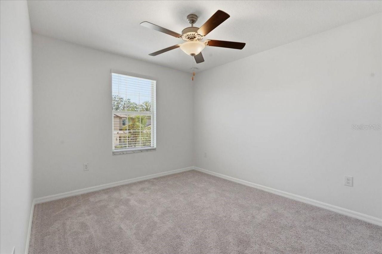 5224 White Chicory Drive, Apollo Beach, FL 33572 Photo