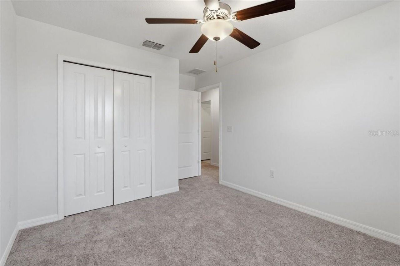 5224 White Chicory Drive, Apollo Beach, FL 33572 Photo