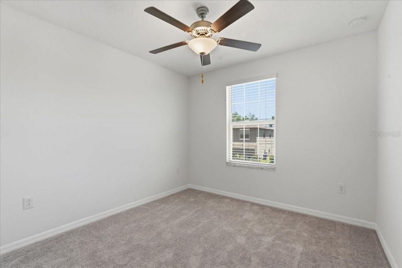5224 White Chicory Drive, Apollo Beach, FL 33572 Photo