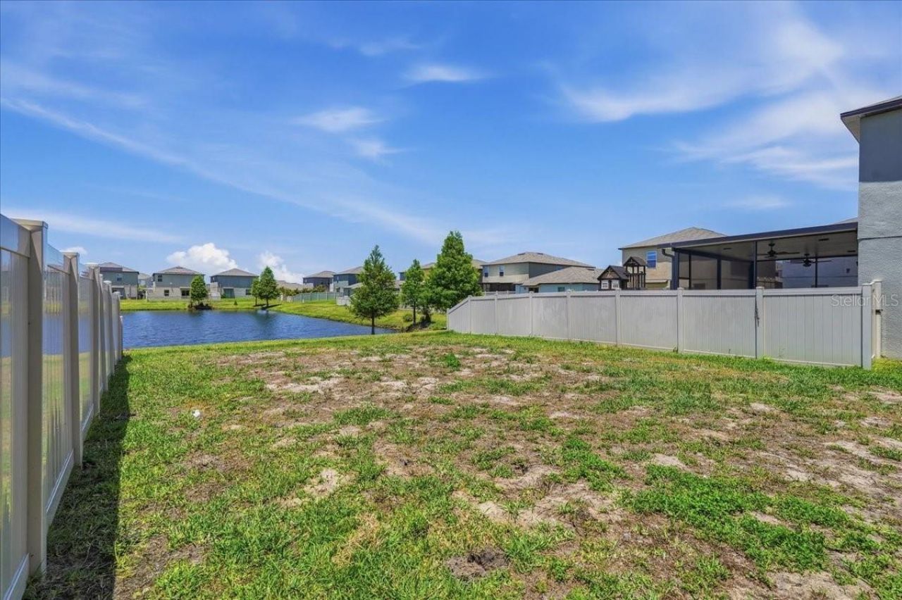 5224 White Chicory Drive, Apollo Beach, FL 33572 Photo