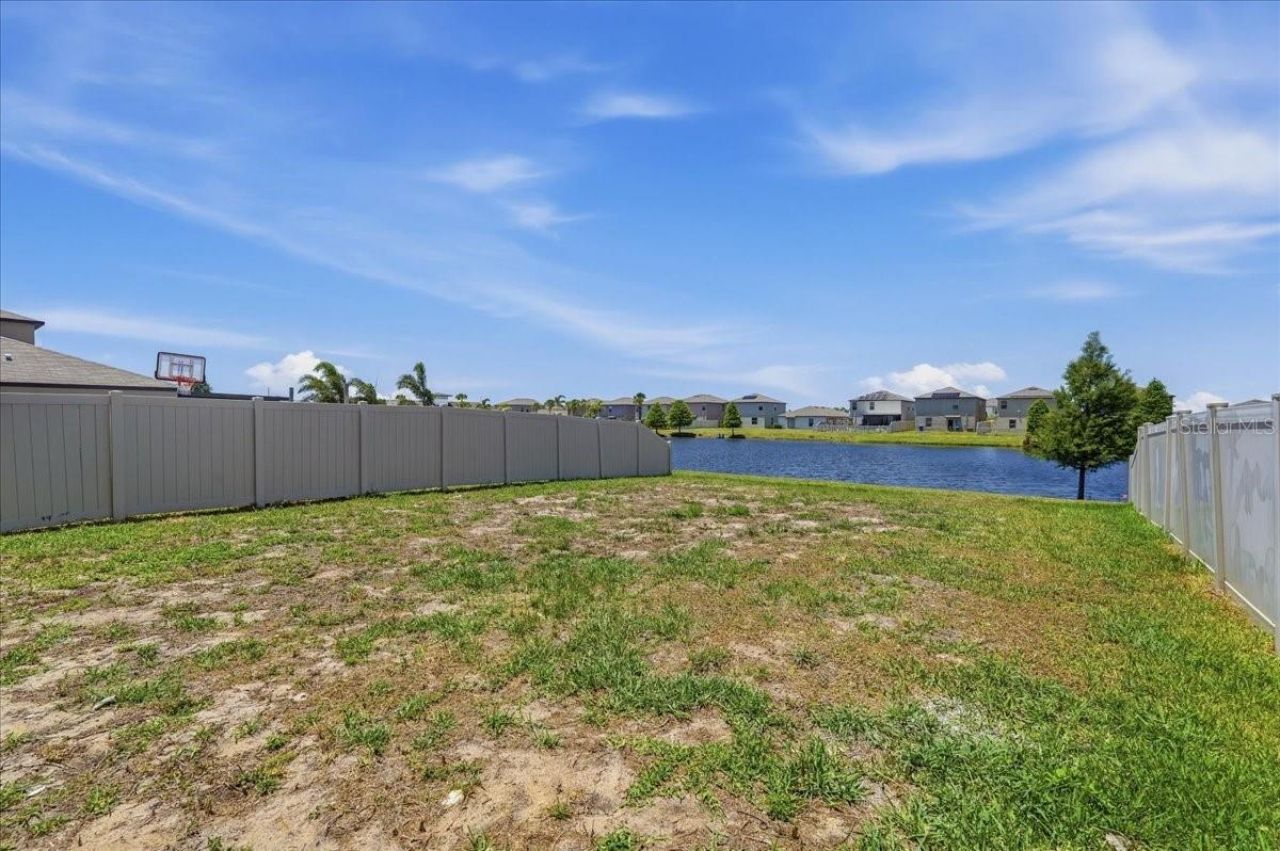 5224 White Chicory Drive, Apollo Beach, FL 33572 Photo
