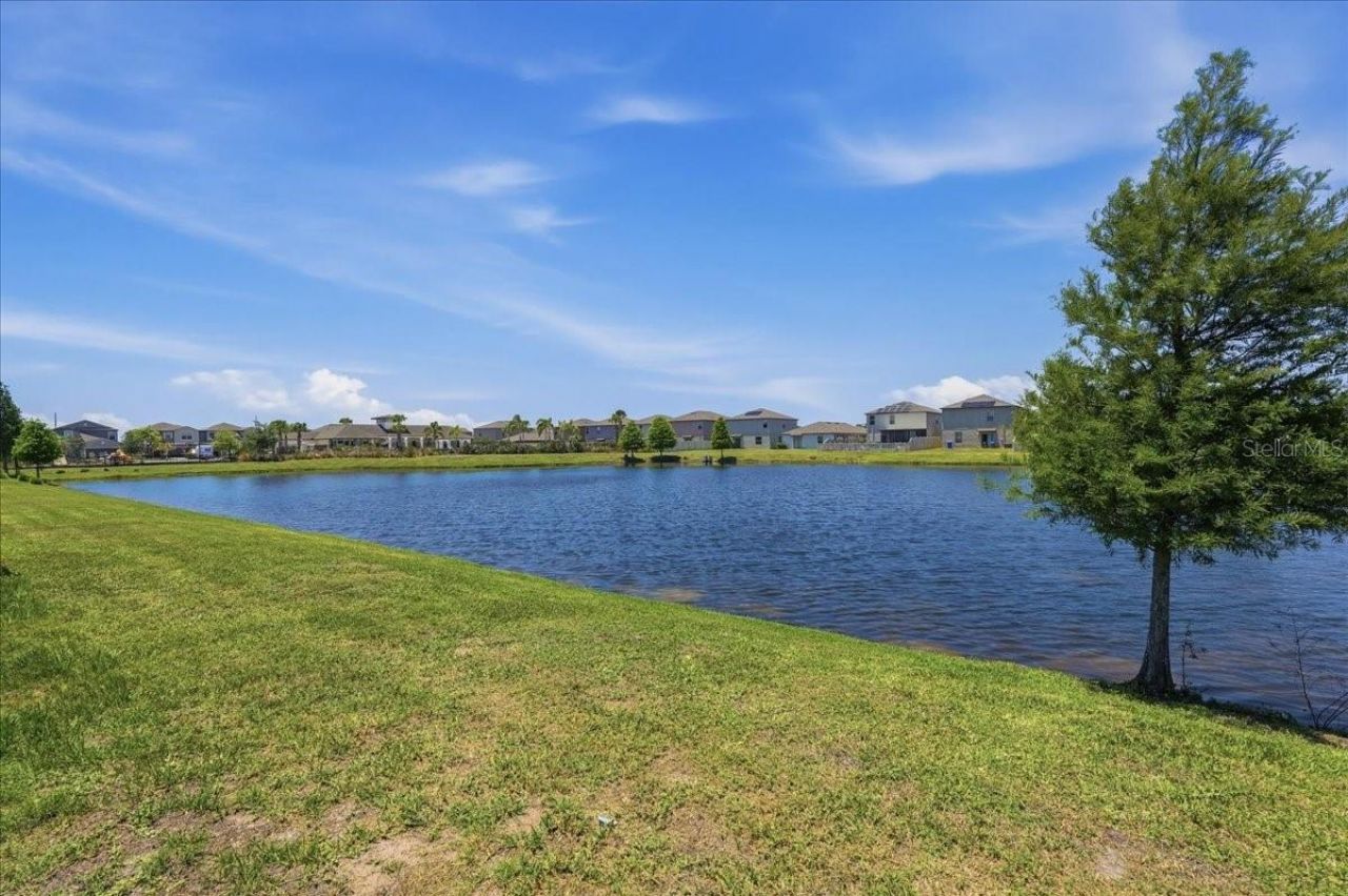 5224 White Chicory Drive, Apollo Beach, FL 33572 Photo