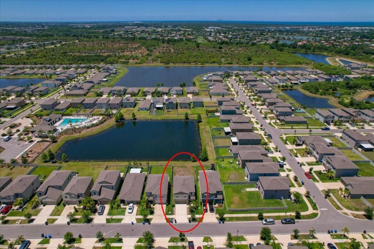 5224 White Chicory Drive, Apollo Beach, FL 33572 Photo