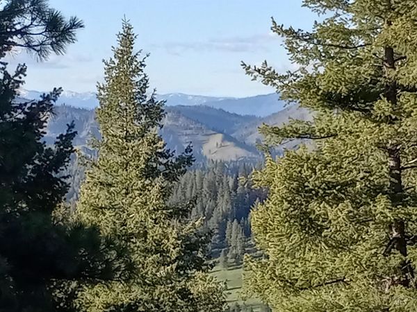 380 - TBD Clear Creek Road, Boise, ID 83716