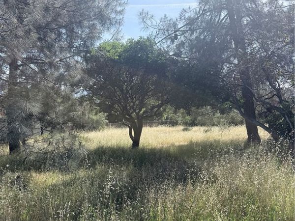 19303 Ravenhill, Hidden Valley Lake, CA 95467