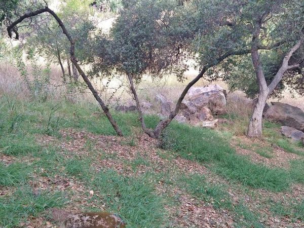 20228 CROYDON Lane, Topanga, CA 90290