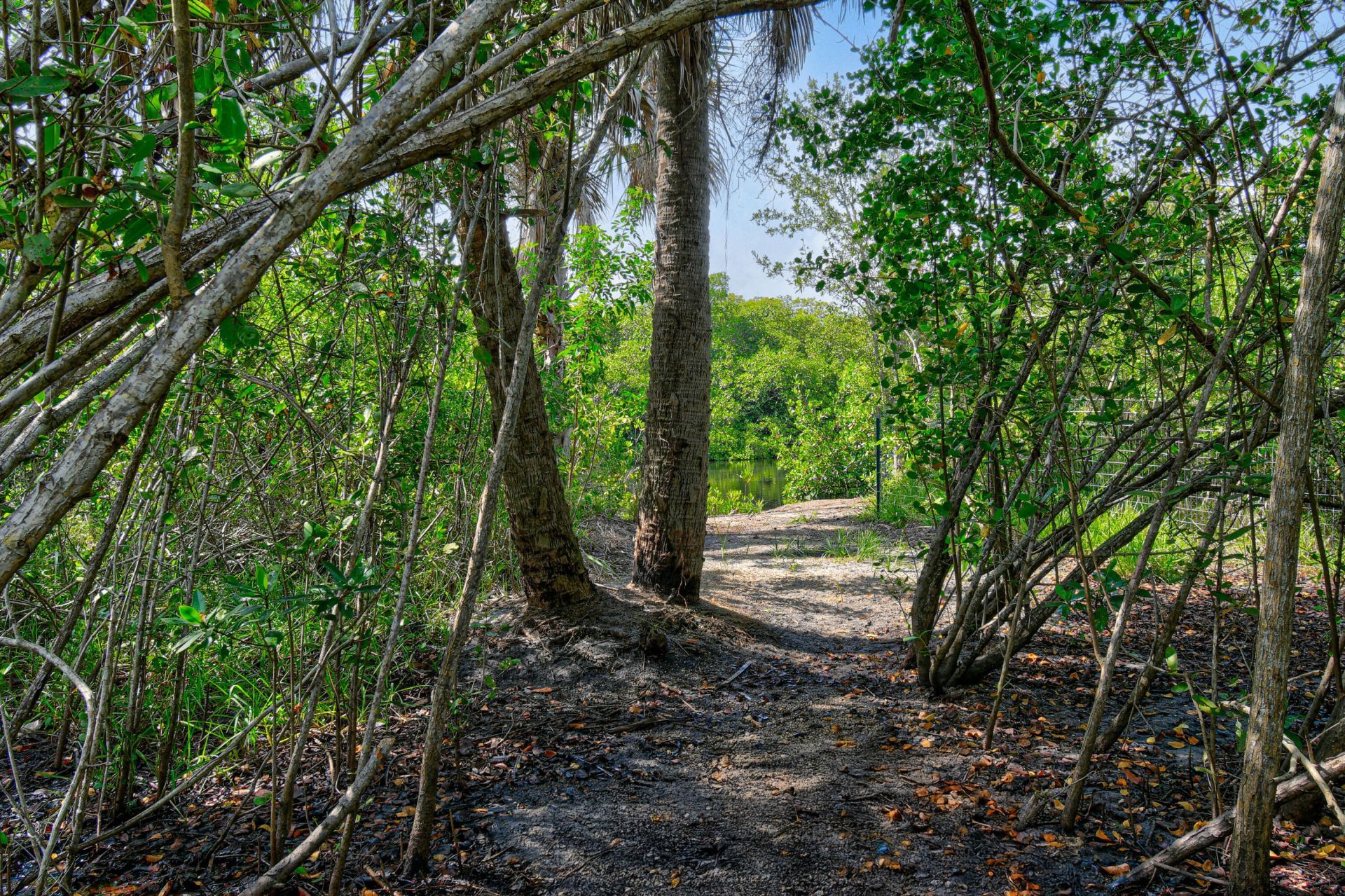 10561 SE Le Parc, Jupiter, FL 33469 Photo