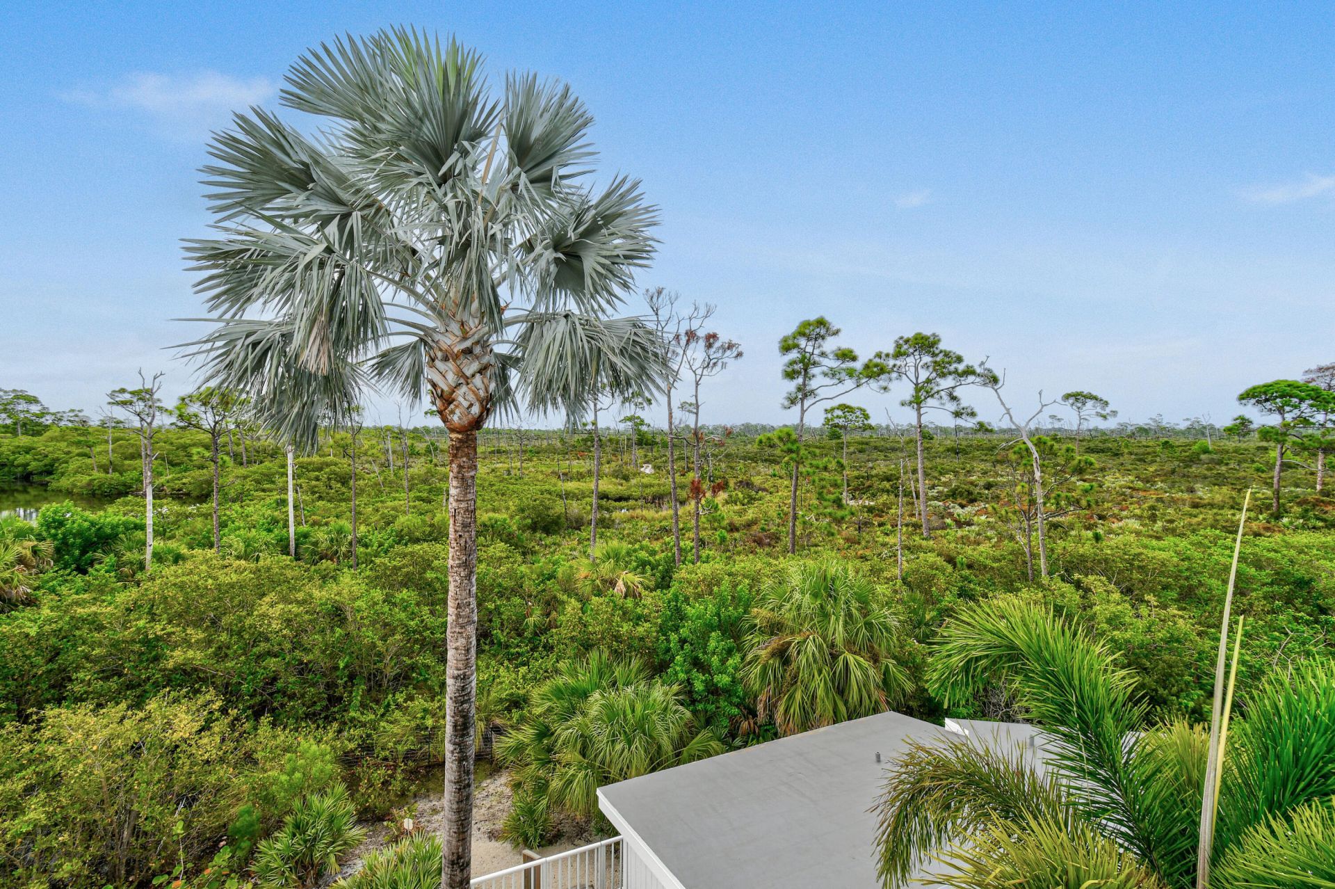 10561 SE Le Parc, Jupiter, FL 33458 Photo
