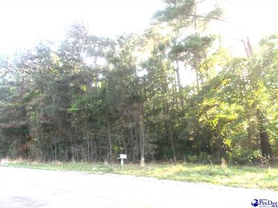 TBD Friendfield RD, Pamplico, SC 29583