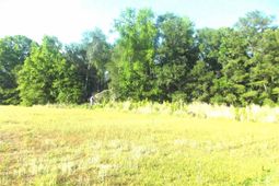 Tbd Friendfield Rd photo 4