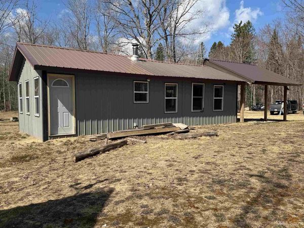 11445 N Chesbrough Lake Road, McMillan Twp, MI 49868