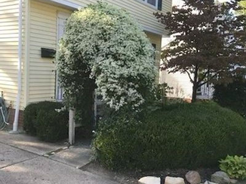 1158 Avondale Road , South Euclid, OH 44121 Photo 22