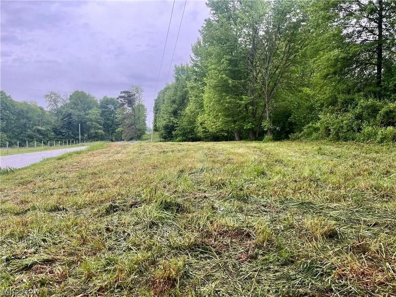 10280 Morges Drive, Waynesburg, OH 44688 Photo 3